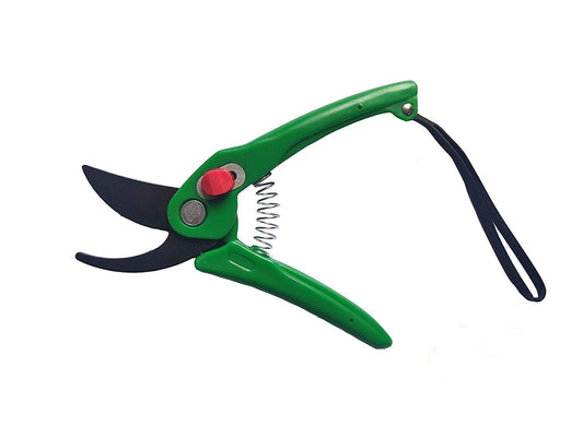 Professional garden pruning shears